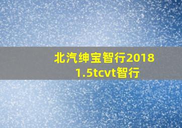 北汽绅宝智行2018 1.5tcvt智行